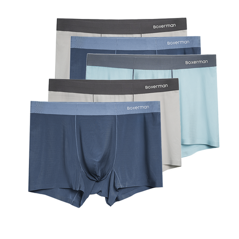 Combo 5 quần lót Boxer nam PROLINES lụa băng mạnh mẽ